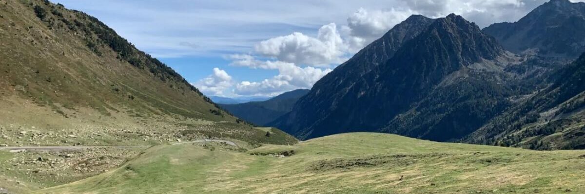 Pyreneene