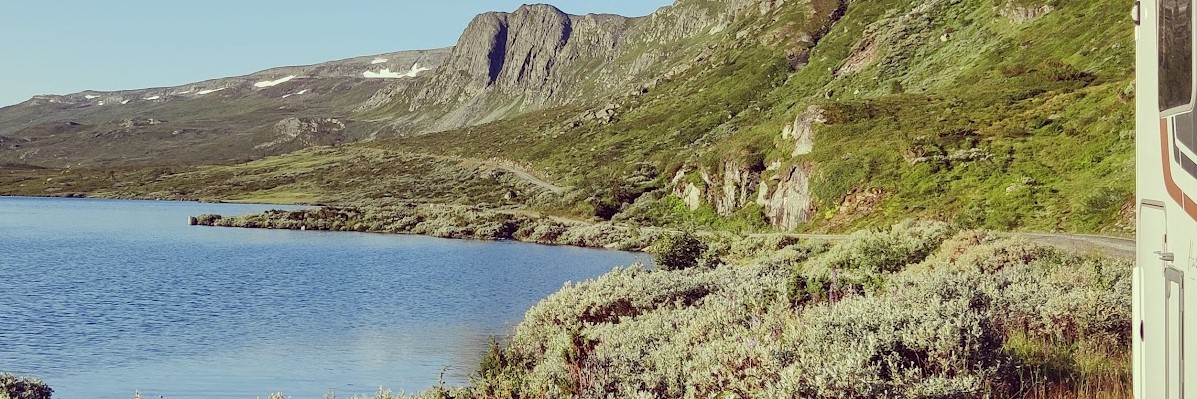 Fleinsendin, Valdres